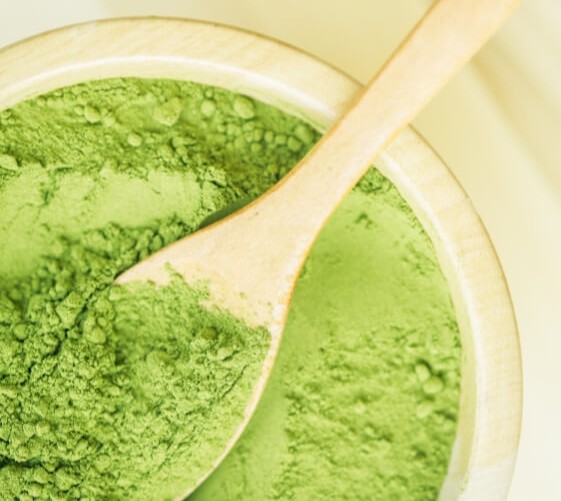Moringa Superfood Powder